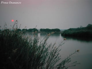 Річка Окаванго
 