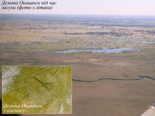 Дельта Окаванго під час
засухи (фото з літака)
Дельта Окаванго
з космосу
 