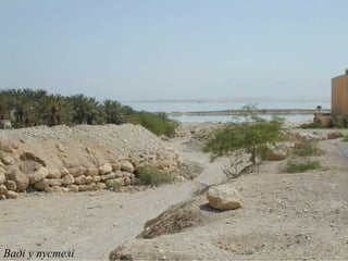 Ваді у пустелі
 