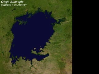 Озеро Вікторія
(знімок з космосу)
 