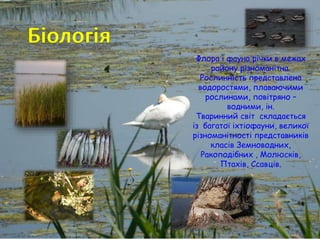 Флора і фауна річки в межах
району різноманітна.
Рослинність представлена
водоростями, плаваючими
рослинами, повітряно –
водними, ін.
Тваринний світ складається
із багатої іхтіофауни, великої
різноманітності представників
класів Земноводних,
Ракоподібних , Молюсків,
Птахів, Ссавців.
 
