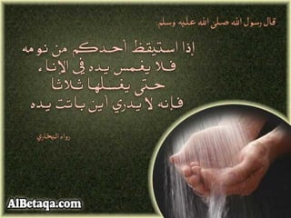 سنن وآداب من هدي الحبيب صلي الله عليه وسلم