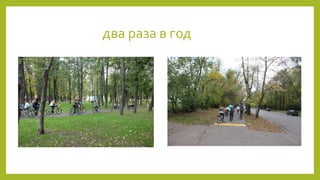 два раза в год
 