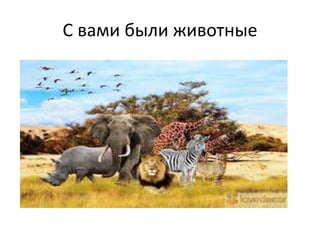 С вами были животные