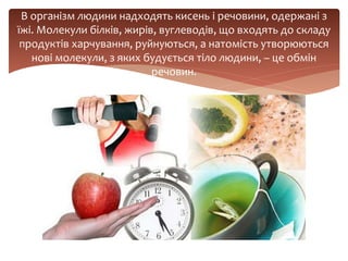 В організм людини надходять кисень і речовини, одержані з
їжі. Молекули білків, жирів, вуглеводів, що входять до складу
продуктів харчування, руйнуються, а натомість утворюються
нові молекули, з яких будується тіло людини, – це обмін
речовин.
 