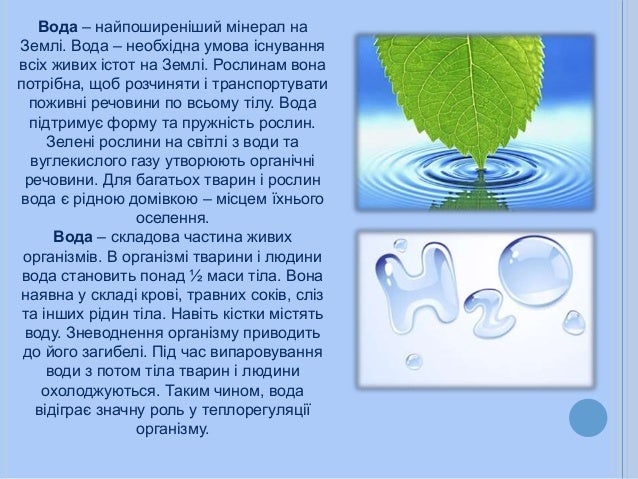 Вода – найпоширеніший мінерал на
Землі. Вода – необхідна умова існування
всіх живих істот на Землі. Рослинам вона
потрібна...