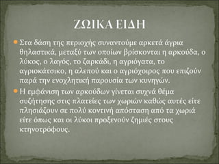 Στα δάση της περιοχής συναντούμε αρκετά άγρια
θηλαστικά, μεταξύ των οποίων βρίσκονται η αρκούδα, ο
λύκος, ο λαγός, το ζαρκάδι, η αγριόγατα, το
αγριοκάτσικο, η αλεπού και ο αγριόχοιρος που επιζούν
παρά την ενοχλητική παρουσία των κυνηγών.
Η εμφάνιση των αρκούδων γίνεται συχνά θέμα
συζήτησης στις πλατείες των χωριών καθώς αυτές είτε
πλησιάζουν σε πολύ κοντινή απόσταση από τα χωριά
είτε όπως και οι λύκοι προξενούν ζημιές στους
κτηνοτρόφους.
 