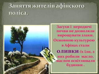 Засухи і неродючі
почви не дозволяли
вирощувати злаки.
Основною культурою
в Афінах стали
оливки-їх їли, з
них робили масло,
маслом освітлювали
будинки .
 