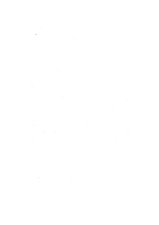 الأمر بالإتباع والنهي عن الإبتداع للإمام السيوطي