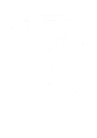 الأمر بالإتباع والنهي عن الإبتداع للإمام السيوطي