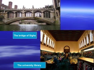 The bridge of SighsThe bridge of Sighs
The university libraryThe university library
 
