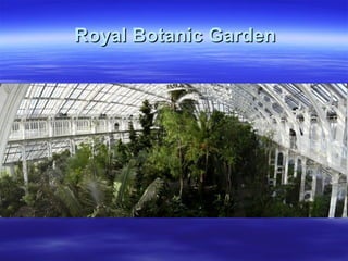 Royal Botanic GardenRoyal Botanic Garden
 