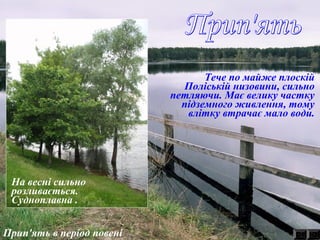 Прип'ять в період повені
Тече по майже плоскій
Поліській низовини, сильно
петляючи. Має велику частку
підземного живлення, тому
влітку втрачає мало води.
На весні сильно
розливається.
Судноплавна .
 