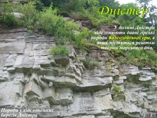 Породи у відслоненнях
берегів Дністра
У долині Дністра
відслонюють давні гірські
породи палеозойської ери, в
яких містяться рештки
тварин морського дна.
 