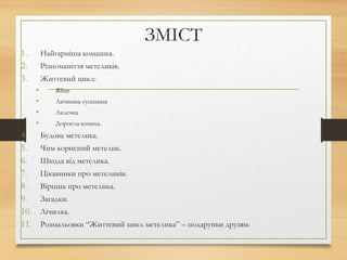 Коротенький віршик про святого миколая