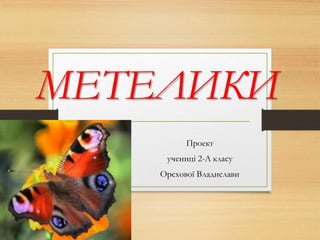 МЕТЕЛИКИ
Проект
учениці 2-А класу
Орєхової Владислави
 