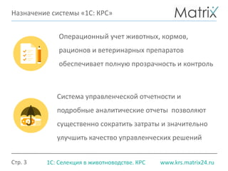 Стр. 3 www.krs.matrix24.ru1С: Селекция в животноводстве. КРС
Назначение системы «1С: КРС»
Операционный учет животных, кормов,
рационов и ветеринарных препаратов
обеспечивает полную прозрачность и контроль
Система управленческой отчетности и
подробные аналитические отчеты позволяют
существенно сократить затраты и значительно
улучшить качество управленческих решений
 