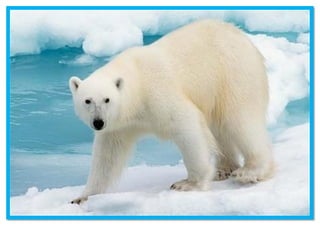 ΕΠΟΠΤΙΚΟ ΥΛΙΚΟ