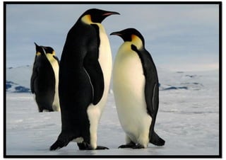 ΕΠΟΠΤΙΚΟ ΥΛΙΚΟ