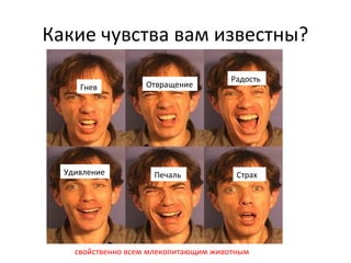 Какие чувства вам известны?
Гнев Отвращение
Страх
Радость
ПечальУдивление
свойственно всем млекопитающим животным
 