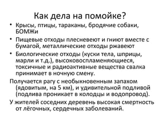 Как дела на помойке?
• Крысы, птицы, тараканы, бродячие собаки,
БОМЖи
• Пищевые отходы плесневеют и гниют вместе с
бумагой, металлические отходы ржавеют
• Биологические отходы (куски тела, шприцы,
марли и т.д.), высоковоспламеняющиеся,
токсичные и радиоактивные вещества свалка
принимает в ночную смену.
Получается рагу с необыкновенным запахом
(ядовитым, на 5 км), и удивительной подливой
(подлива проникает в колодцы и водопровод).
У жителей соседних деревень высокая смертность
от лёгочных, сердечных заболеваний.
 