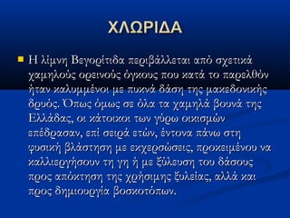  Η λίμνη Βεγορίτιδα περιβάλλεται από σχετικάΗ λίμνη Βεγορίτιδα περιβάλλεται από σχετικά
χαμηλούς ορεινούς όγκους που κατά το παρελθόνχαμηλούς ορεινούς όγκους που κατά το παρελθόν
ήταν καλυμμένοι με πυκνά δάση της μακεδονικήςήταν καλυμμένοι με πυκνά δάση της μακεδονικής
δρυός. Όπως όμως σε όλα τα χαμηλά βουνά τηςδρυός. Όπως όμως σε όλα τα χαμηλά βουνά της
Ελλάδας, οι κάτοικοι των γύρω οικισμώνΕλλάδας, οι κάτοικοι των γύρω οικισμών
επέδρασαν, επί σειρά ετών, έντονα πάνω στηεπέδρασαν, επί σειρά ετών, έντονα πάνω στη
φυσική βλάστηση με εκχερσώσεις, προκειμένου ναφυσική βλάστηση με εκχερσώσεις, προκειμένου να
καλλιεργήσουν τη γη ή με ξύλευση του δάσουςκαλλιεργήσουν τη γη ή με ξύλευση του δάσους
προς απόκτηση της χρήσιμης ξυλείας, αλλά καιπρος απόκτηση της χρήσιμης ξυλείας, αλλά και
προς δημιουργία βοσκοτόπων.προς δημιουργία βοσκοτόπων.
 