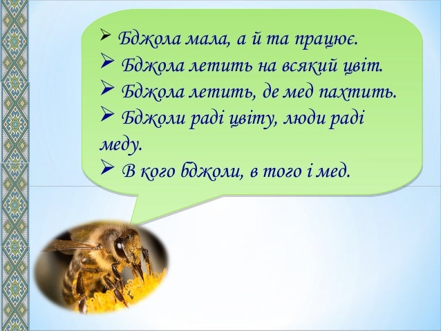 Прислів'я та приказки про тварин
