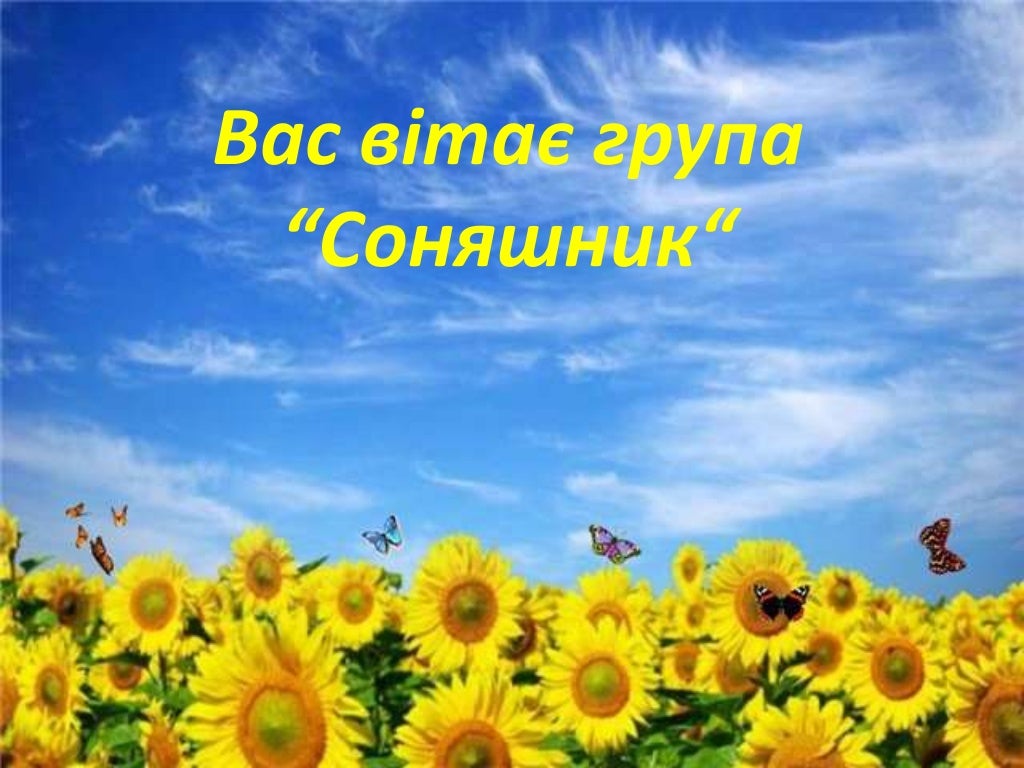 соняшник