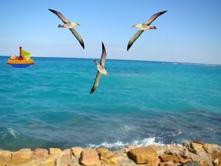 электронные физминутки