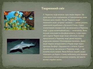 чорне море | PPT
