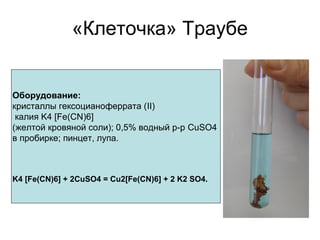 «Клеточка» Траубе
Оборудование:
кристаллы гексоцианоферрата (II)
калия K4 [Fe(CN)6]
(желтой кровяной соли); 0,5% водный р-р CuSO4
в пробирке; пинцет, лупа.
K4 [Fe(CN)6] + 2CuSO4 = Cu2[Fe(CN)6] + 2 K2 SO4.
 