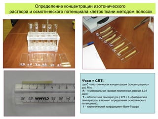 Определение концентрации изотонического
раствора и осмотического потенциала клеток ткани методом полосок
Ψосм = СRТi,
где С – изотоническая концентрация (концентрация р-
ра), М/л;
R – универсальная газовая постоянная, равная 8,31
Дж/с;
Т – абсолютная температура ( 273 + t –фактическая
температура в момент определения осмотического
потенциала);
i – изотонический коэффициент Вант-Гоффа
 