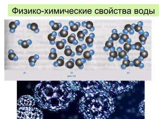 Физико-химические свойства воды
 