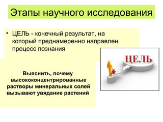 Этапы научного исследования
• ЦЕЛЬ - конечный результат, на
который преднамеренно направлен
процесс познания
Выяснить, почему
высококонцентрированные
растворы минеральных солей
вызывают увядание растений
 