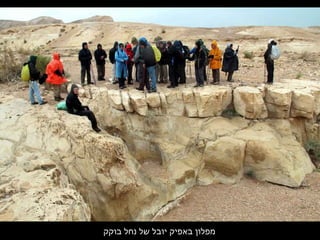 ‫בוקק‬ ‫נחל‬ ‫של‬ ‫יובל‬ ‫באפיק‬ ‫מפלון‬
 