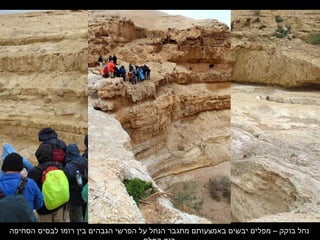 ‫הסחיפה‬ ‫לבסיס‬ ‫רומו‬ ‫בין‬ ‫הגבהים‬ ‫הפרשי‬ ‫על‬ ‫הנחל‬ ‫מתגבר‬ ‫באמצעותם‬ ‫יבשים‬ ‫מפלים‬ – ‫בוקק‬ ‫נחל‬
 
