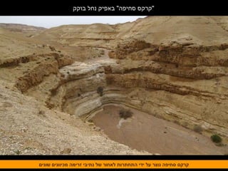 ‫בוקק‬ ‫נחל‬ ‫באפיק‬ "‫סחיפה‬ ‫"קרקס‬
‫שונים‬ ‫מכיוונים‬ ‫זרימה‬ ‫נתיבי‬ ‫של‬ ‫לאחור‬ ‫התחתרות‬ ‫ידי‬ ‫על‬ ‫נוצר‬ ‫סחיפה‬ ‫קרקס‬‫שונים‬ ‫מכיוונים‬ ‫זרימה‬ ‫נתיבי‬ ‫של‬ ‫לאחור‬ ‫התחתרות‬ ‫ידי‬ ‫על‬ ‫נוצר‬ ‫סחיפה‬ ‫קרקס‬
 