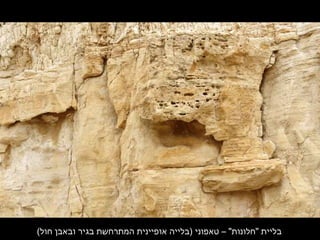 (‫חול‬ ‫ובאבן‬ ‫בגיר‬ ‫המתרחשת‬ ‫אופיינית‬ ‫)בלייה‬ ‫טאפוני‬ – "‫"חלונות‬ ‫בליית‬
 