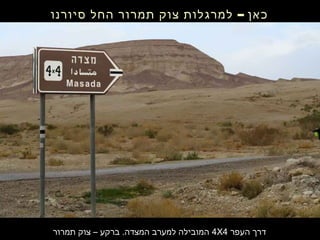 ‫העפר‬ ‫דרך‬4X4‫תמרור‬ ‫צוק‬ – ‫ברקע‬ .‫המצדה‬ ‫למערב‬ ‫המובילה‬
–‫סיורנו‬ ‫החל‬ ‫תמרור‬ ‫צוק‬ ‫למרגלות‬ ‫כאן‬
 