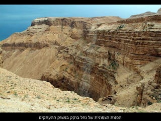 ‫ההעתקים‬ ‫במצוק‬ ‫בוקק‬ ‫נחל‬ ‫של‬ ‫הצפונית‬ ‫הפנות‬
 