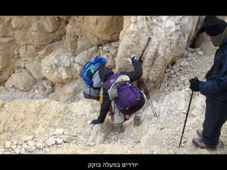 ‫בוקק‬ ‫במעלה‬ ‫יורדים‬
 