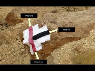 ‫בוקק‬ ‫עין‬
‫בוקק‬ ‫מיצד‬
‫בוקק‬ ‫מעלה‬
 