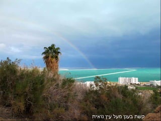 ‫אית‬ִ‫תי‬ ‫ו‬ֹ‫א‬‫נ‬ ‫עין‬ֵ‫י‬ ‫מעל‬ ‫בענן‬ ‫קשת‬
 