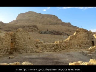 ‫נו,אית‬ ‫עין‬ֵ‫,א‬ ‫מ‬ ‫צמחיה‬ – ‫ג ב רקע‬ .‫ה לה‬ֶ‫המע‬ ‫ רום‬ ‫,אה ל‬ ‫ג בוקק‬ ‫ממיצד‬ ‫מג בט‬
 