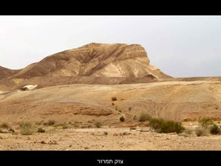 ‫תמרור‬ ‫צוק‬
 