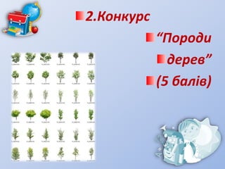 2.Конкурс
“Породи
дерев”
(5 балів)
 