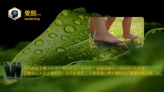 Xѡ
awakening
ŵNŵkR ðUfkе£
Լӛrк°lF żСŮ|҂`r̎?
 