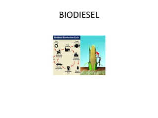 BIODIESEL
 