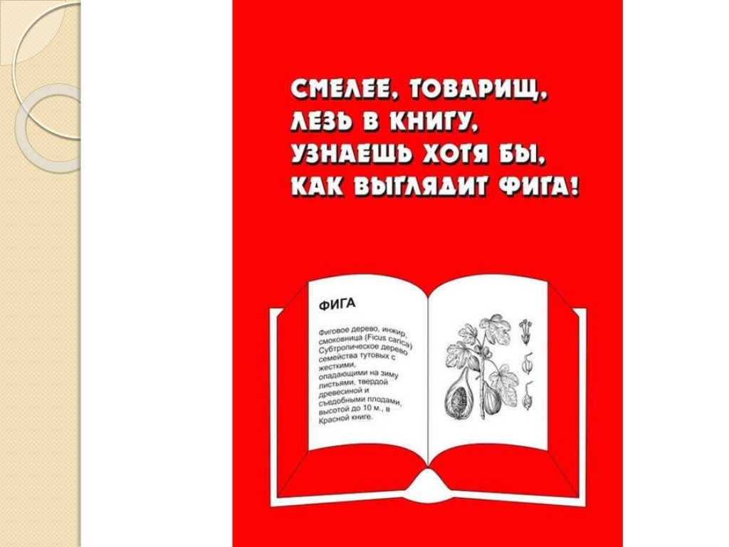 Реклама книги