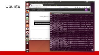 Ubuntu
 